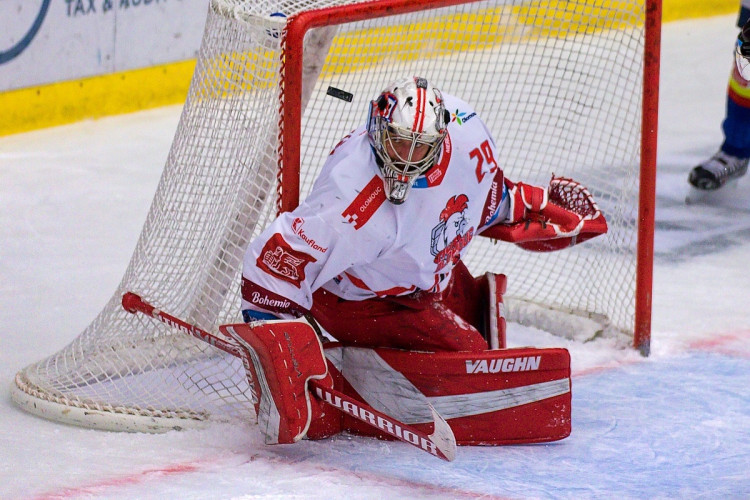 FOTOGALERIE: Čtvrtá porážka s Olomoucí. Motor prodloužil mizernou sérii na domácím ledě, padl 1:2