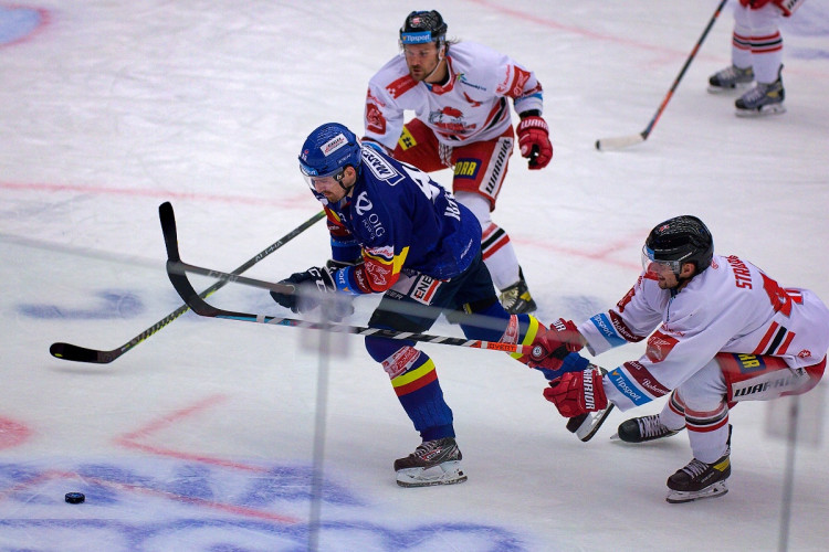 FOTOGALERIE: Čtvrtá porážka s Olomoucí. Motor prodloužil mizernou sérii na domácím ledě, padl 1:2