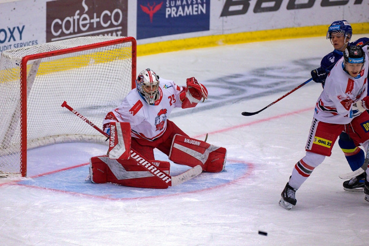 FOTOGALERIE: Čtvrtá porážka s Olomoucí. Motor prodloužil mizernou sérii na domácím ledě, padl 1:2