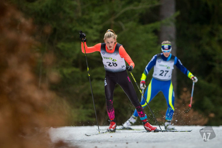 Český pohár v běhu na lyžích
