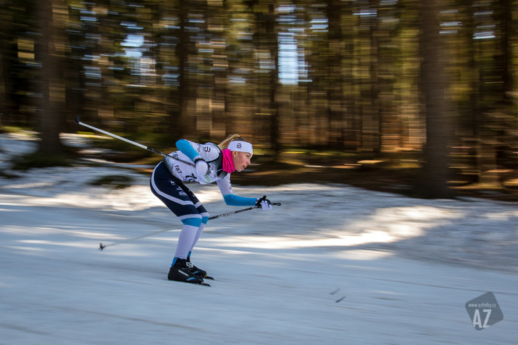 Český pohár v běhu na lyžích