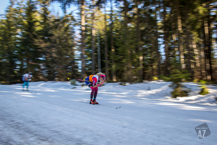 Český pohár v běhu na lyžích