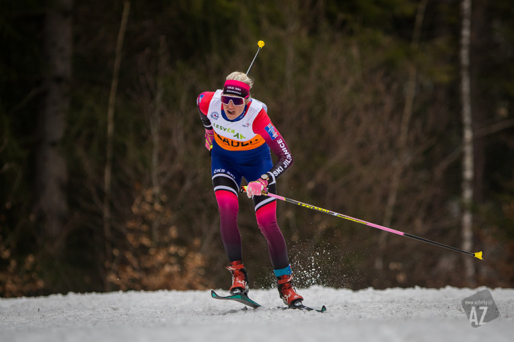 Český pohár v běhu na lyžích