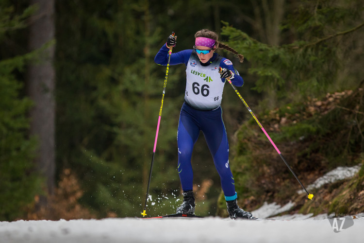 Český pohár v běhu na lyžích