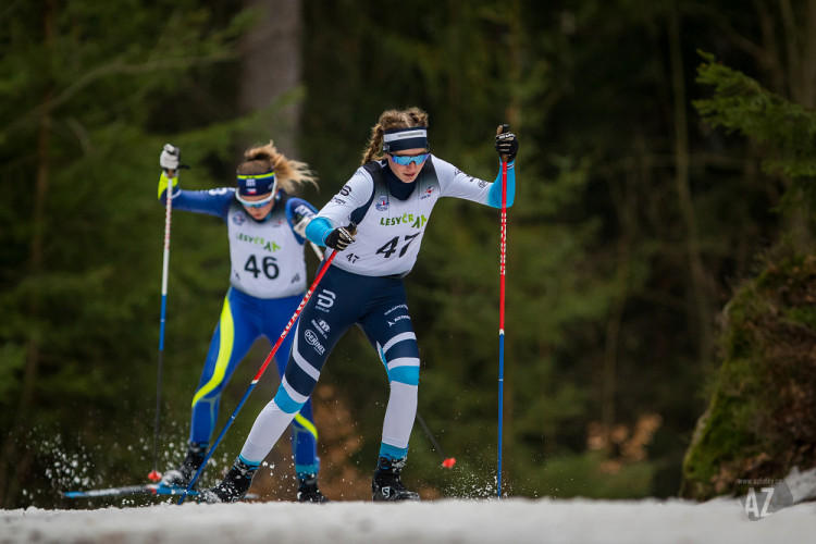 Český pohár v běhu na lyžích