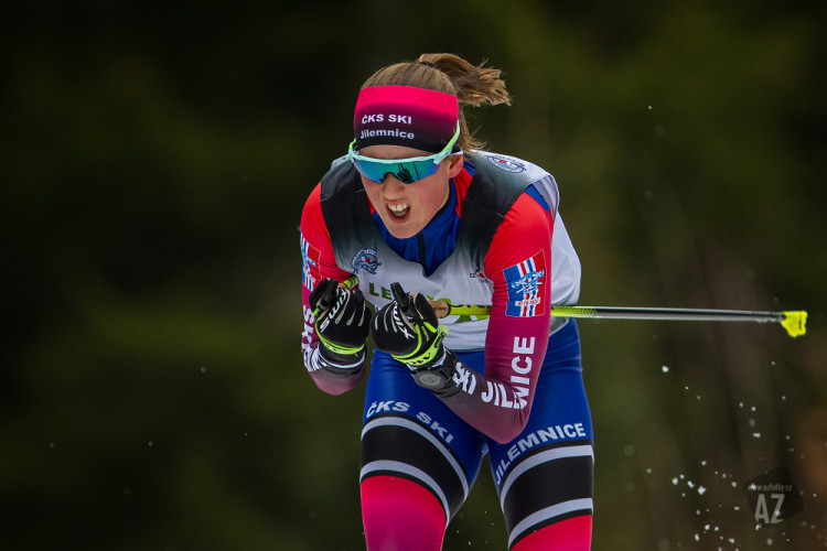 Český pohár v běhu na lyžích