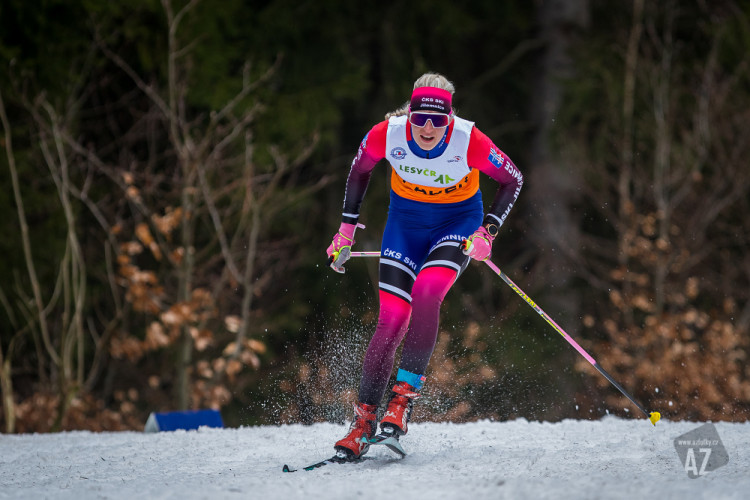 Český pohár v běhu na lyžích