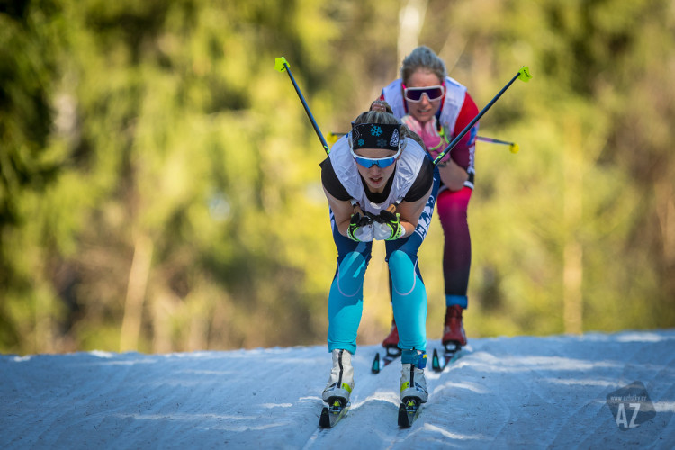 Český pohár v běhu na lyžích