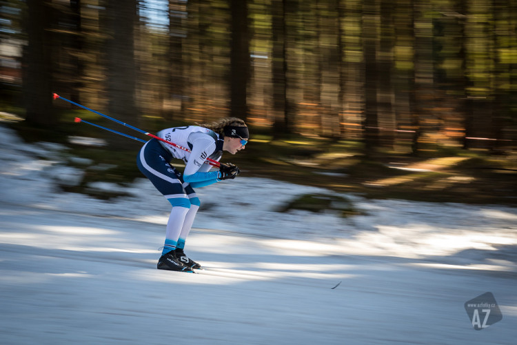 Český pohár v běhu na lyžích