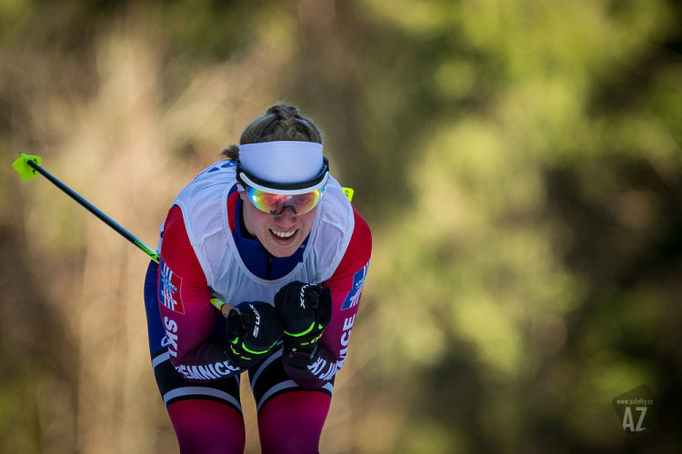 Český pohár v běhu na lyžích