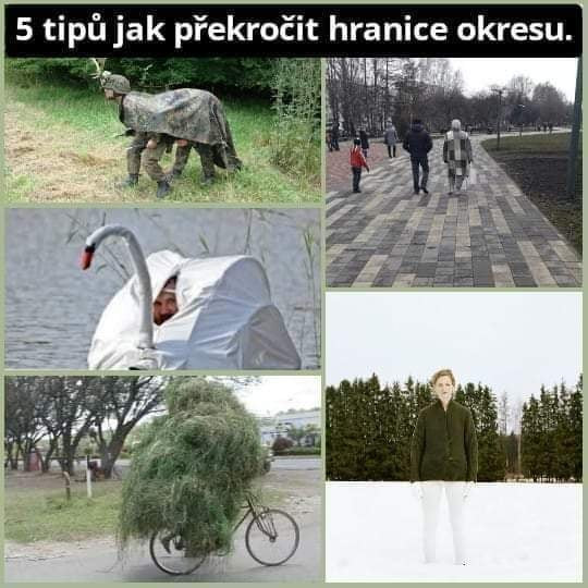 Fotky a virální videa o koronaviru