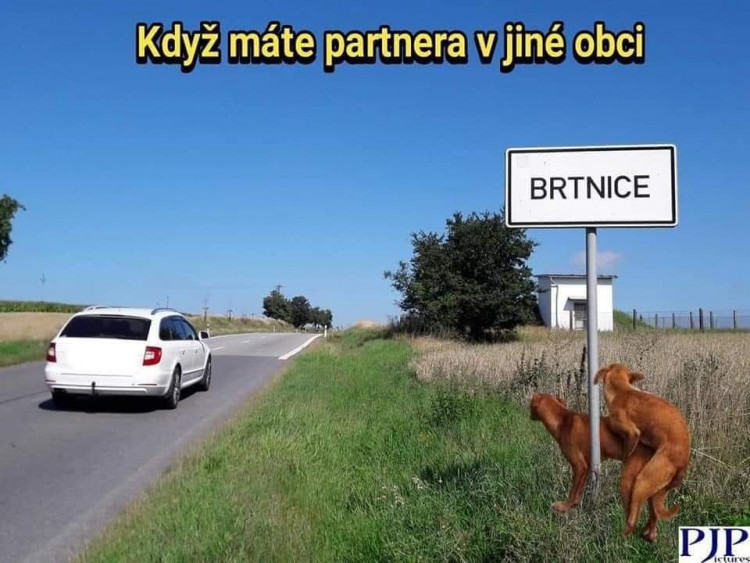 Fotky a virální videa o koronaviru