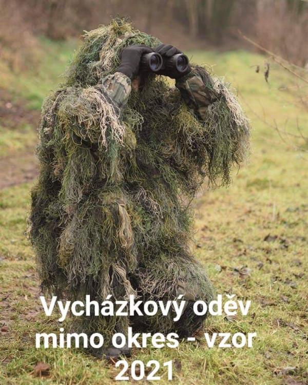 GALERIE: fotky a virální videa o koronaviru