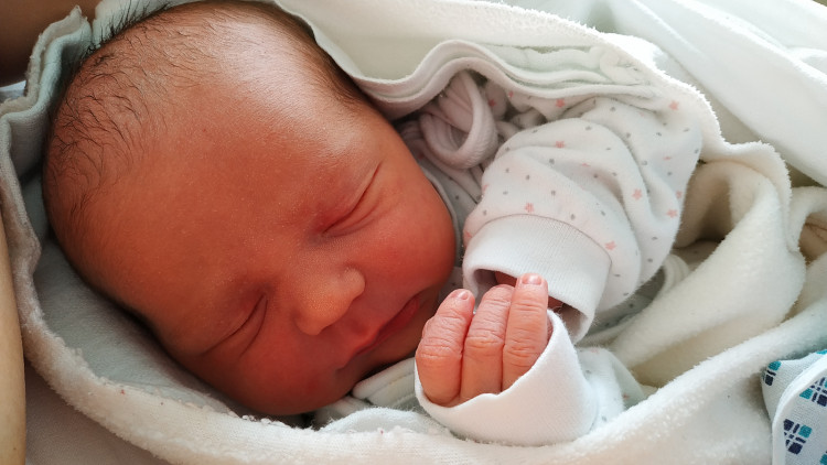 Andrea Jungschafferová