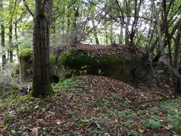 Když nemají školu, čistí bunkry