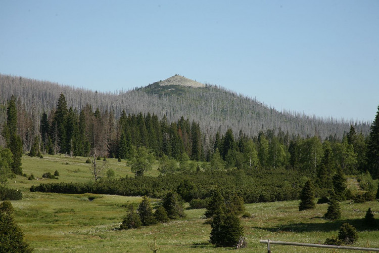FOTOGALERIE: NP Šumava