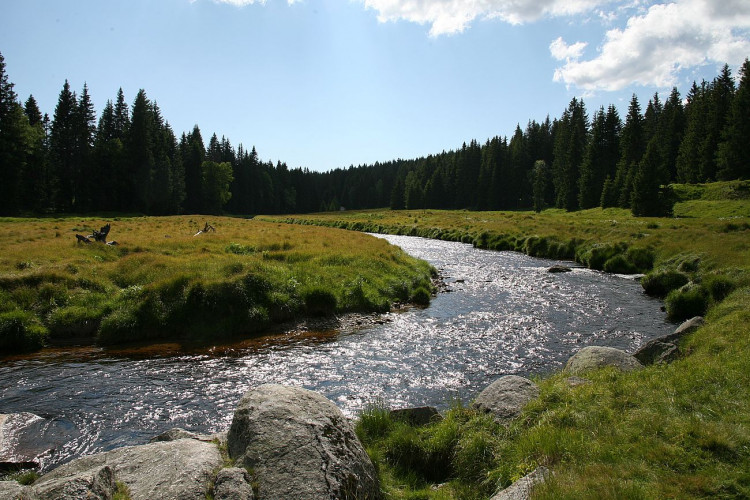 FOTOGALERIE: NP Šumava