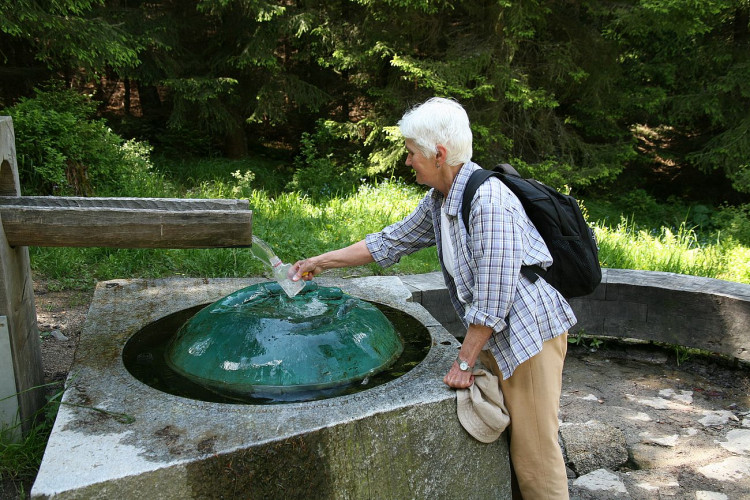 FOTOGALERIE: NP Šumava