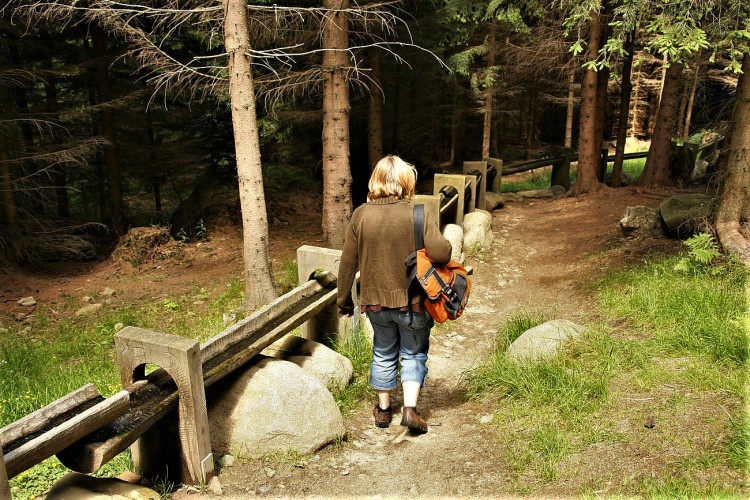 FOTOGALERIE: NP Šumava