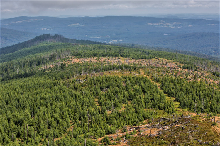 FOTOGALERIE: NP Šumava
