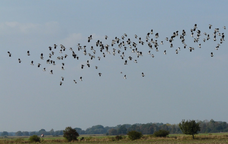 FOTOGALERIE: Jaro se hlásí