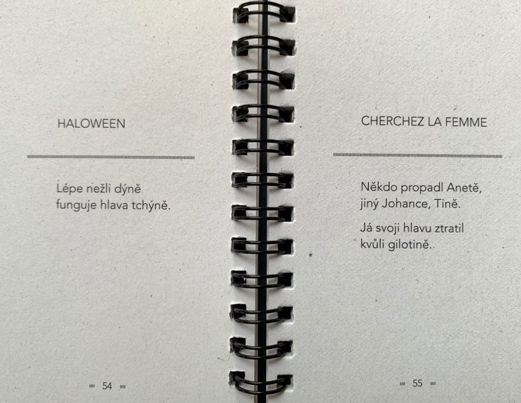 FOTOGALERIE: Básně Lumíra Aschenbrennera