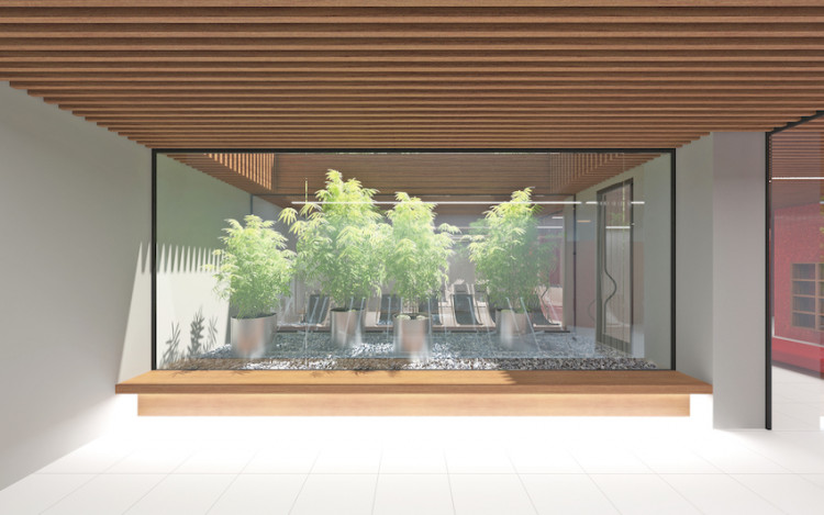 Vizualizace libereckého bazénu