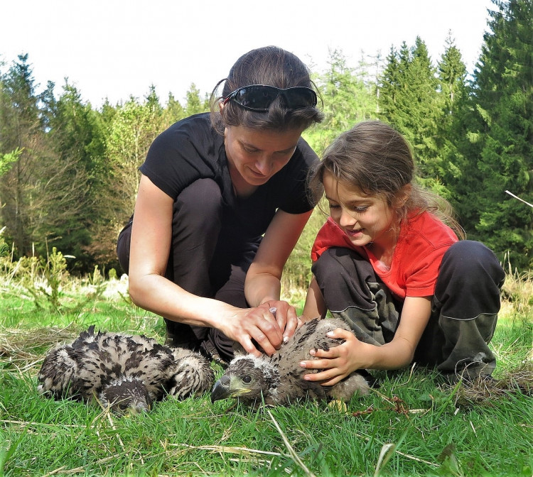 FOTOGALERIE: Kontrola hnízd orlů mořských