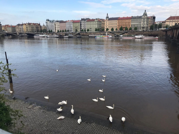 Hladina Vltavy stoupá, nejezdí některé přívozy a policie vyklízí náplavky