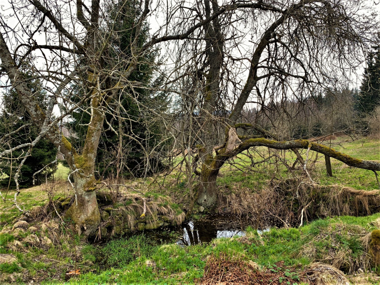 FOTOGALERIE: Knížecí hájovna Pustina