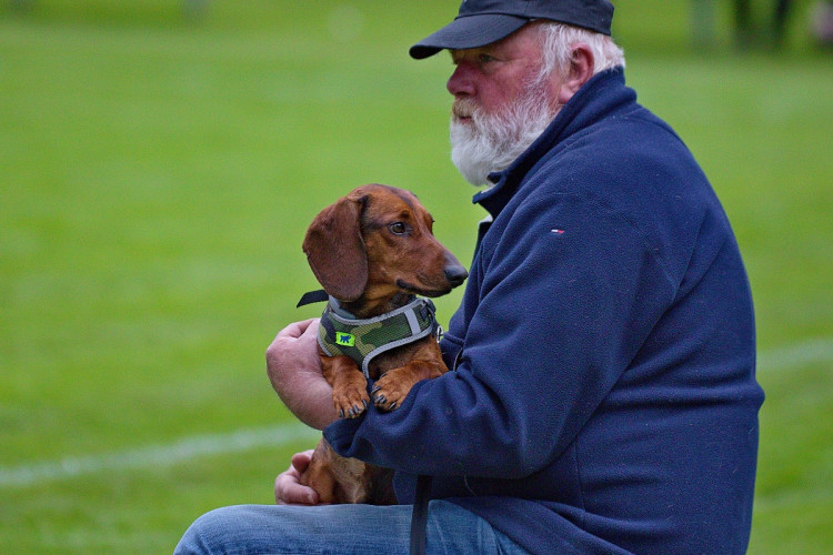 Zápas Plané s Lišovem