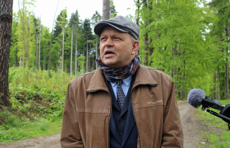 Lesní školka v Jihlavě