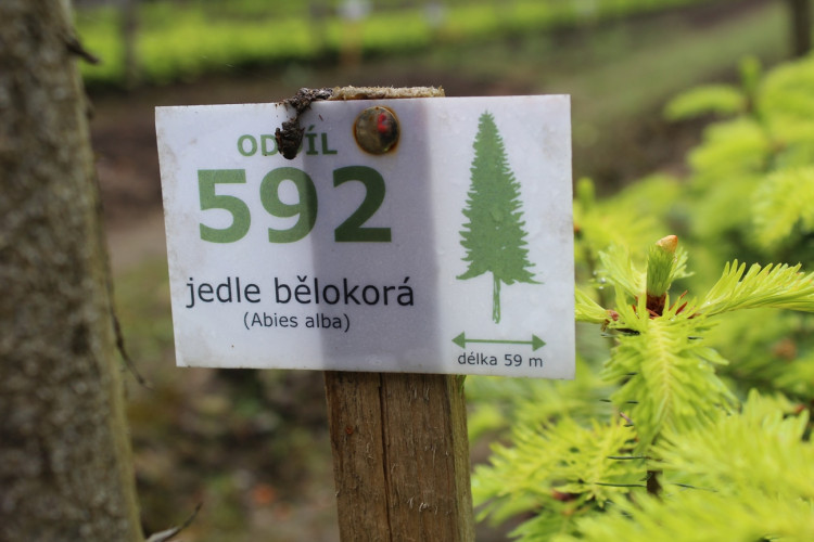 Lesní školka v Jihlavě