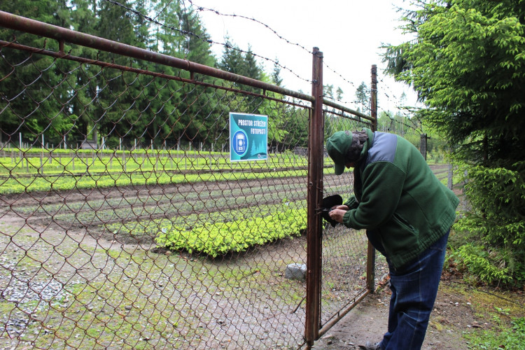 Lesní školka v Jihlavě