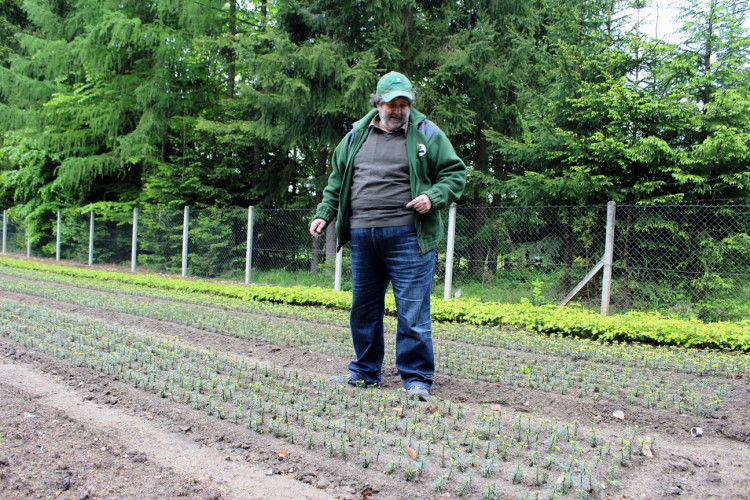 Lesní školka v Jihlavě