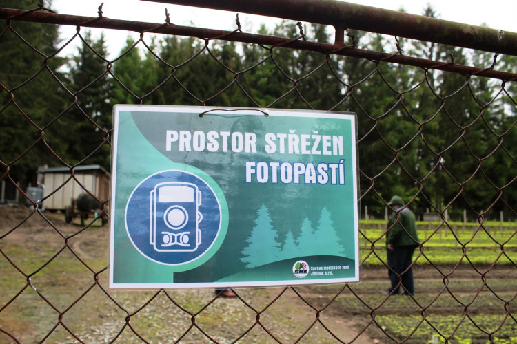 Lesní školka v Jihlavě