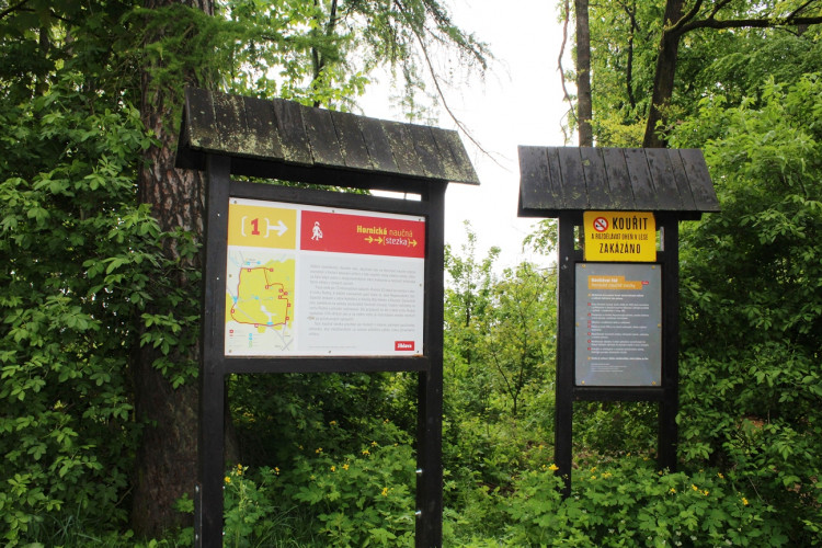 Lesní školka v Jihlavě