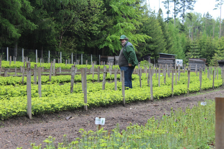 Lesní školka v Jihlavě
