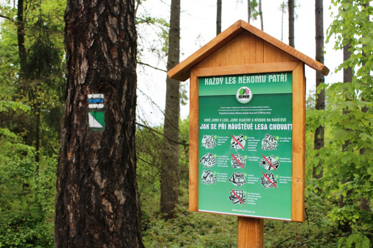 Lesní školka v Jihlavě