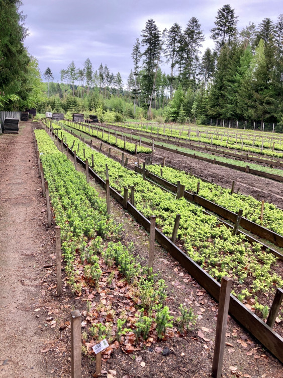 Lesní školka v Jihlavě