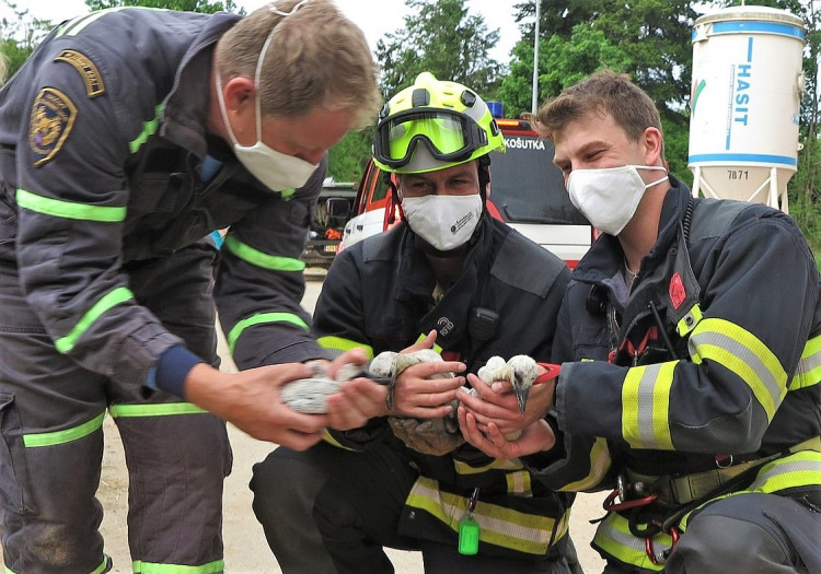 FOTOGALERIE: Záchrana čápů a kroužkování