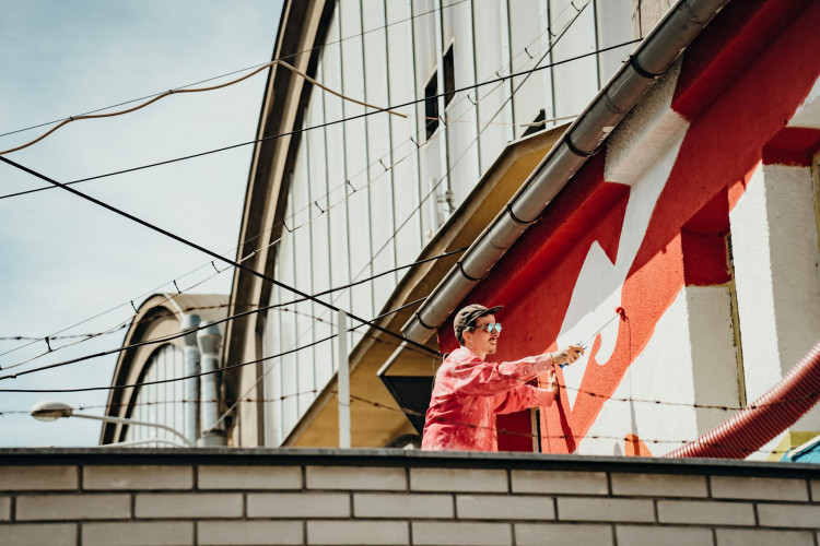 FOTOGALERIE: Street Art festival WALLZ 2021