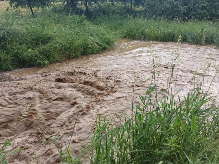 Bouřka a přívalový déšť na Vysočině, 21.6.2021
