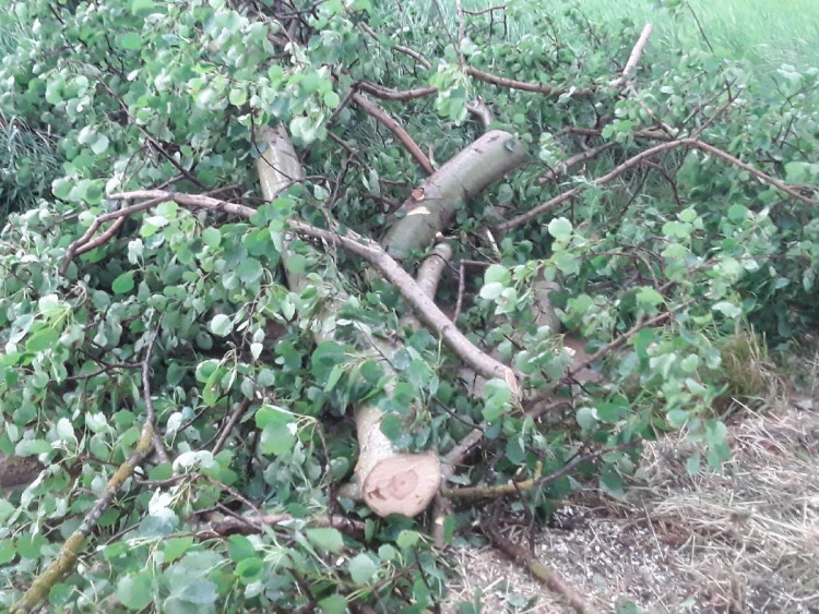 Bouřka a přívalový déšť na Vysočině, 21.6.2021