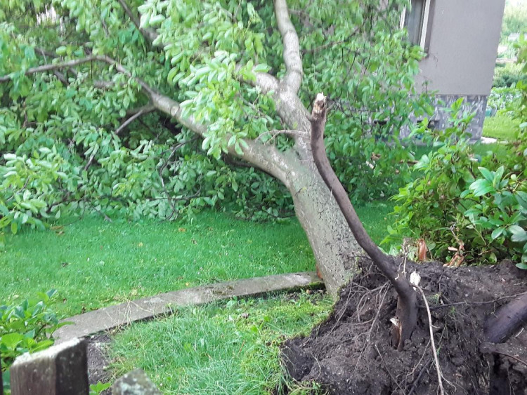 Noční bouřka na Vysočině a odklízení následků, 30.6.2021