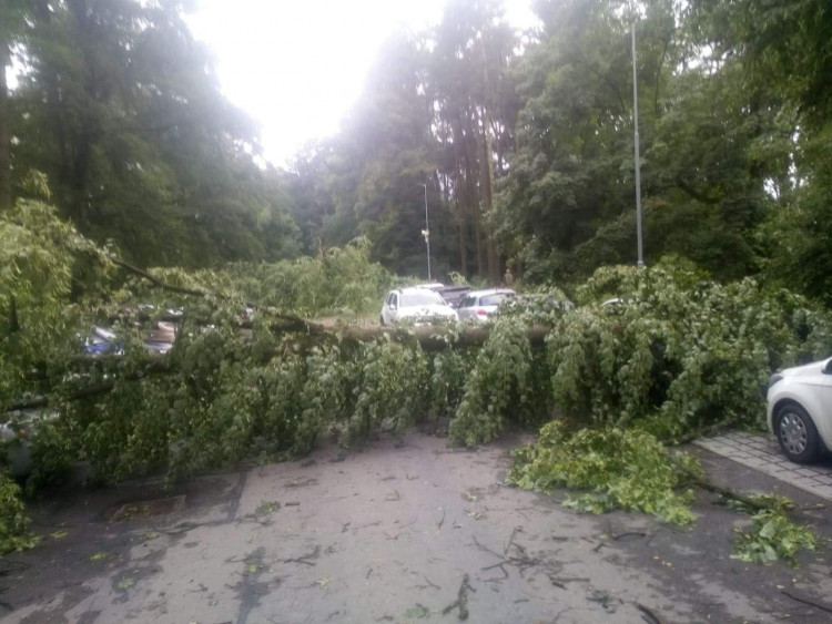 Noční bouřka na Vysočině a odklízení následků, 30.6.2021