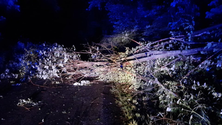 Noční bouřka na Vysočině a odklízení následků, 30.6.2021