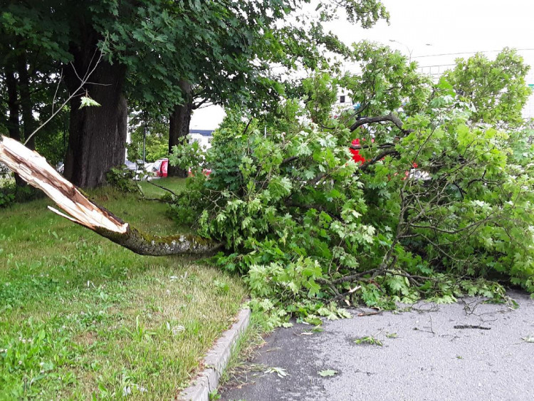 Noční bouřka na Vysočině a odklízení následků, 30.6.2021