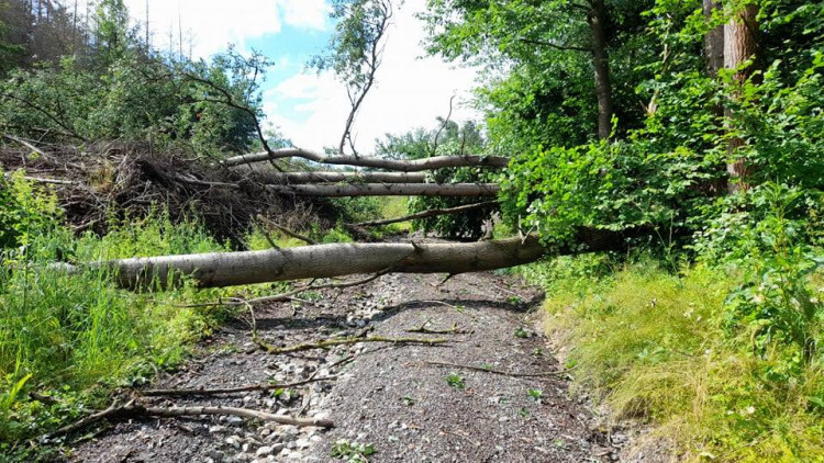 Noční bouřka na Vysočině a odklízení následků, 30.6.2021