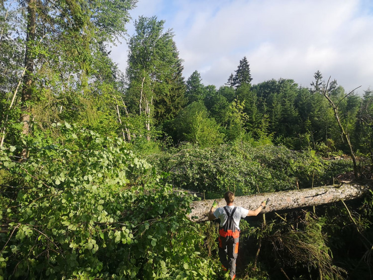 Noční bouřka na Vysočině a odklízení následků, 30.6.2021
